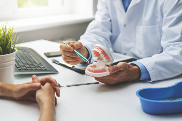  Rosemont, IL Holistic Dental Services Pros